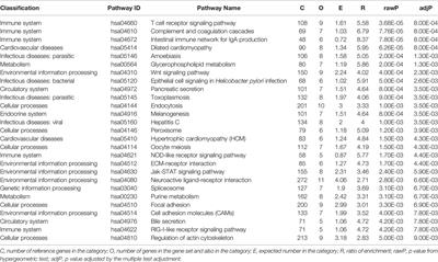 Analyzing Genome-Wide Association Study Dataset Highlights Immune Pathways in Lip Bone Mineral Density